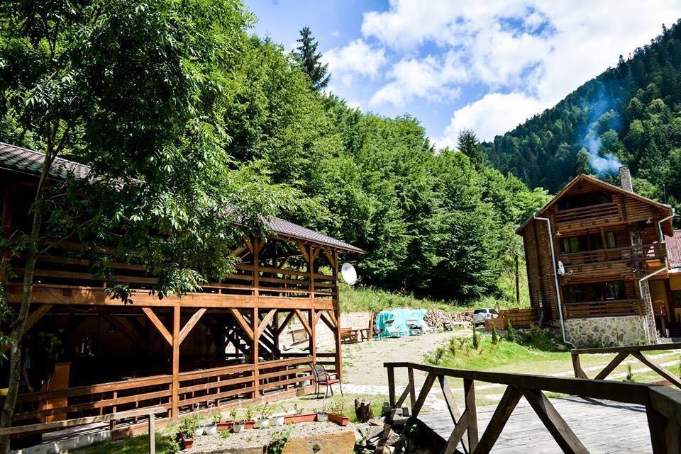 Cabana Bradul Rodna Exterior foto